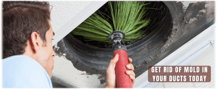 Air Duct Mold Removal in Freehold NJ