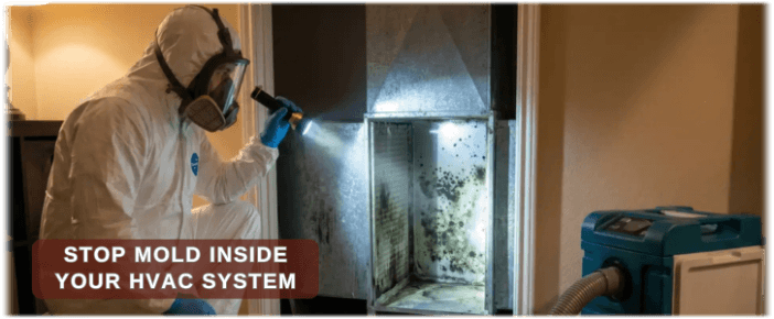 HVAC Mold Removal Freehold NJ